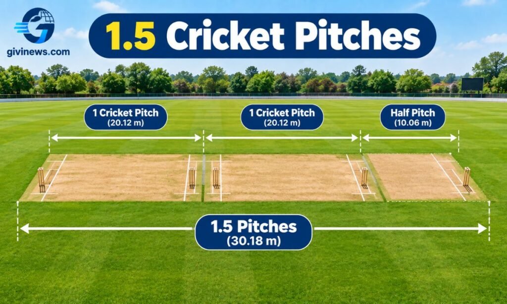 1.5 Cricket Pitches
