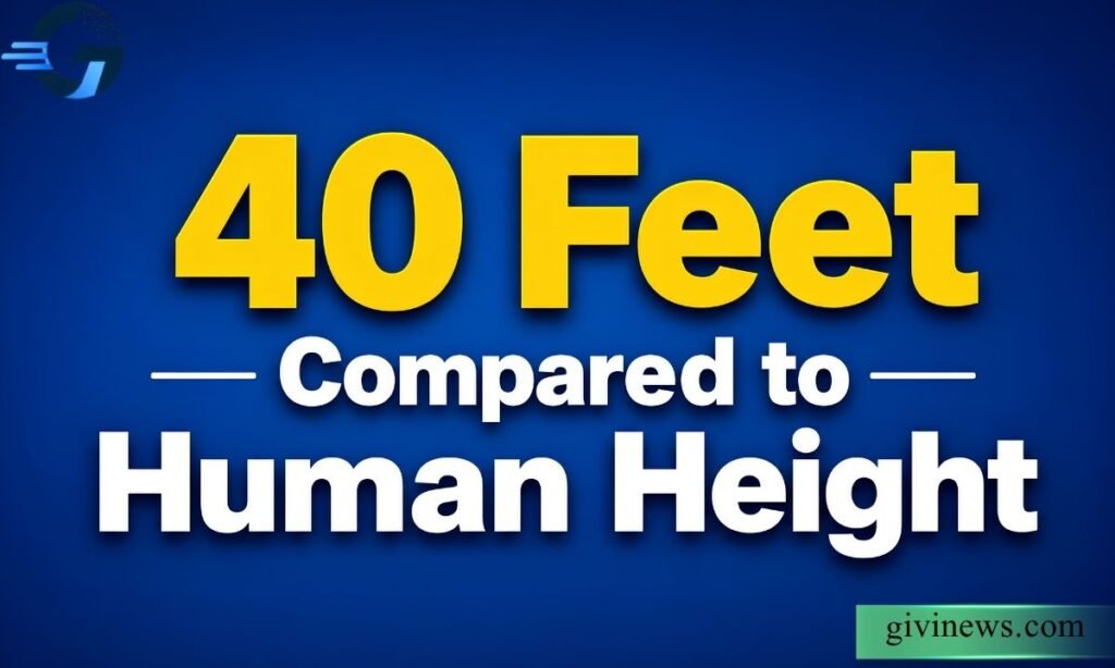 40 Feet Compared to Human Height