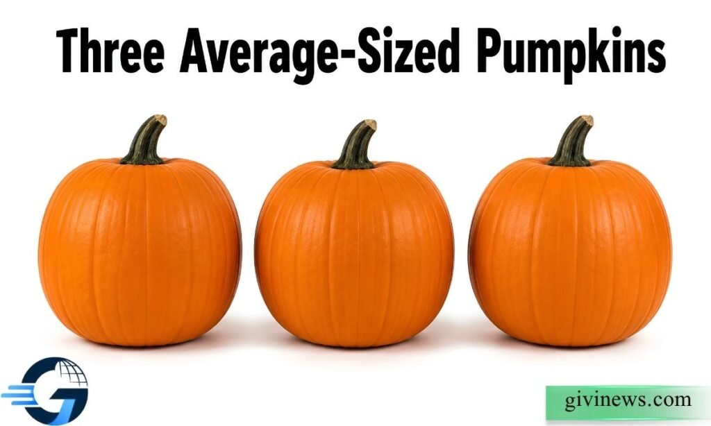 Three Average-Sized Pumpkins