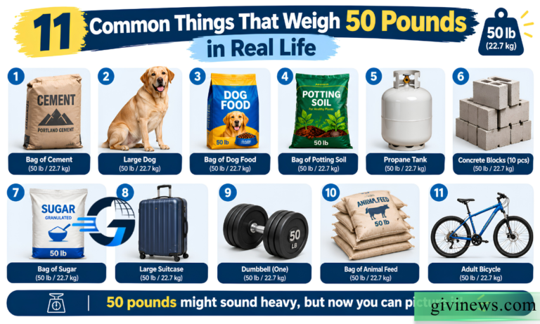 11 Common Things That Weigh 50 Pounds in Real Life 