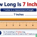 How Long Is 7 Inches? Easy Size Comparisons