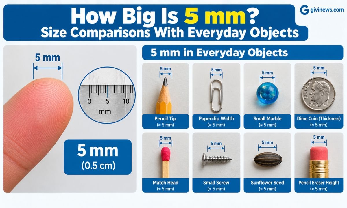 How Big Is 5 mm? Size Comparisons With Everyday Objects